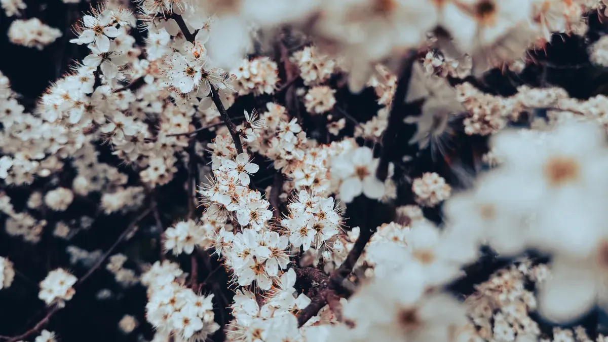 Aus der Erde auf den Teller: Märzgerichte zwischen Tau und Töpfen