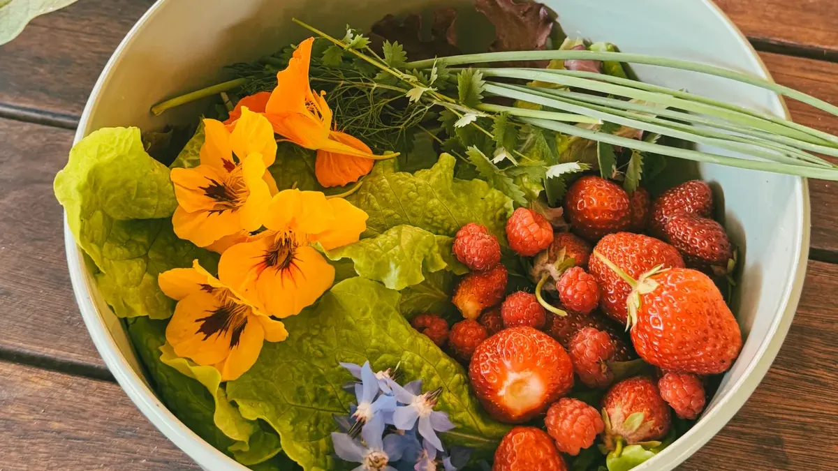 Juni-Geschmack: Die einfachen Freuden einer veganen Sommerküche